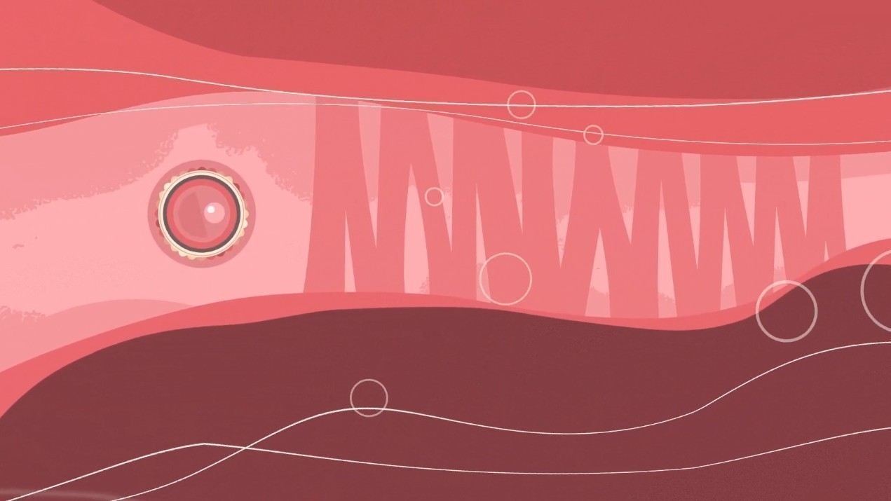 Petevezeték-átjárhatósági vizsgálat