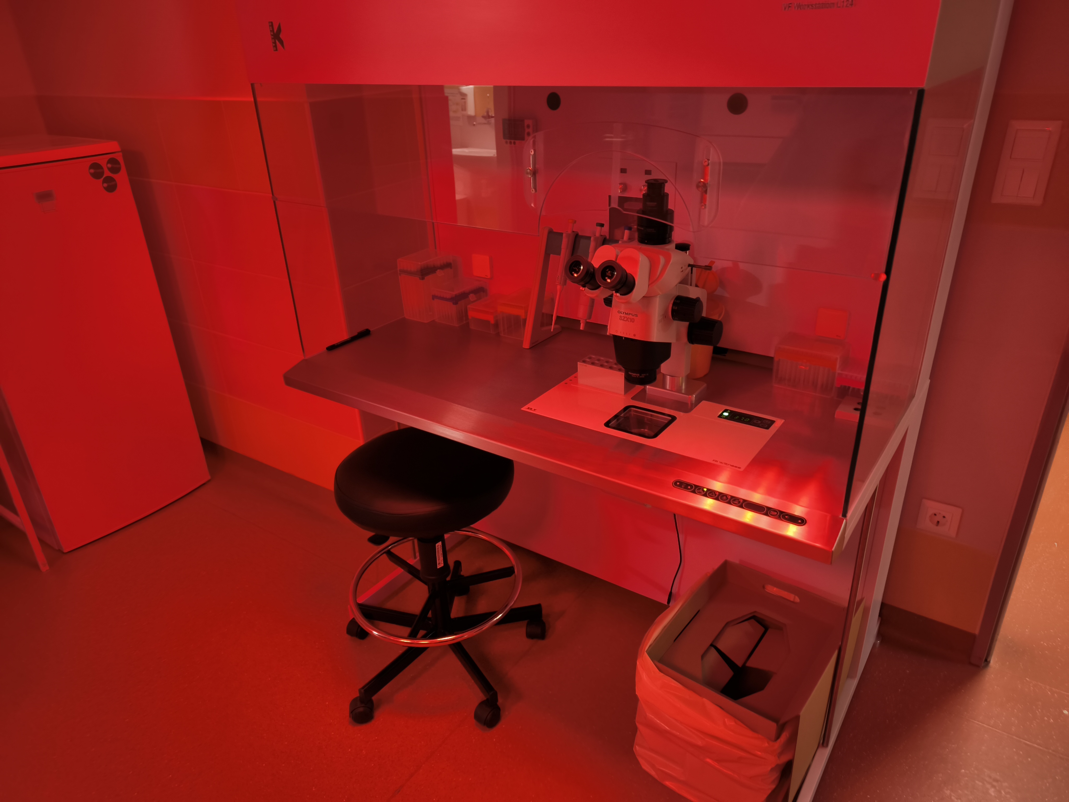 Új utakon a gyermekáldásért: fontos mérföldkövek a pécsi humánreprodukciós kutatásokban